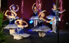 Uroczysta sesja Rady Miasta Malborka - wręczenie tytuł&oacute;w Zasłużony dla Miasta Malborka 8