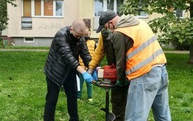 Pracownicy zieleni oraz radny Młodzieżowej Rady za pomocą specjalnego urządzenia wybierają ziemię przed posadzeniem drzewa.