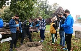 Przedstawiciele Młodzieżowej Rady Miasta Malborka oraz Burmistrz Malborka Marek Charzewski podczas akcji sadzenia drzew z okazji Dnia Drzewa 2020