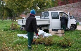 9 października 2026 roku na bulwarze im. Macieja Kilarskiego w Malborku odbyła się kolejna akcja nasadzeń roślin, w kt&oacute;rej uczestniczyli uczniowie malborskich szk&oacute;ł podstawowych 17
