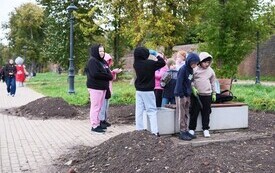 9 października 2026 roku na bulwarze im. Macieja Kilarskiego w Malborku odbyła się kolejna akcja nasadzeń roślin, w kt&oacute;rej uczestniczyli uczniowie malborskich szk&oacute;ł podstawowych 25
