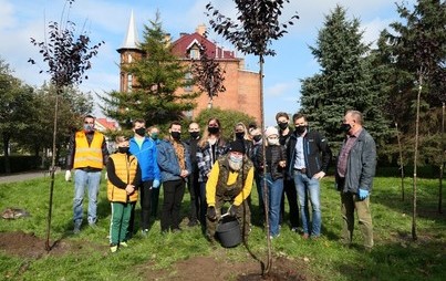 Zdjęcie do Akcja sadzenia drzew z okazji Dnia Drzewa