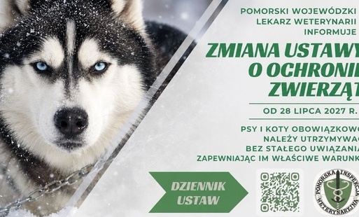 Zdjęcie do Zmiana przepis&oacute;w dotyczących ochrony zwierząt