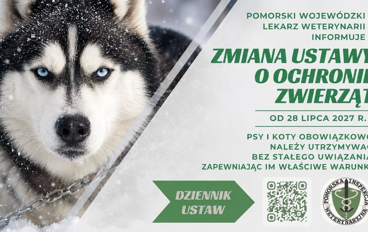 Zdjęcie artykułu z dnia 04-08-2026